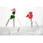 Crystal Glass Bud Vase - Hex Flat