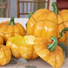 Vietri Pumpkins Figural Covered Medium Pumpkin