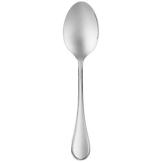 Staineless Steel Albi Serving Spoon