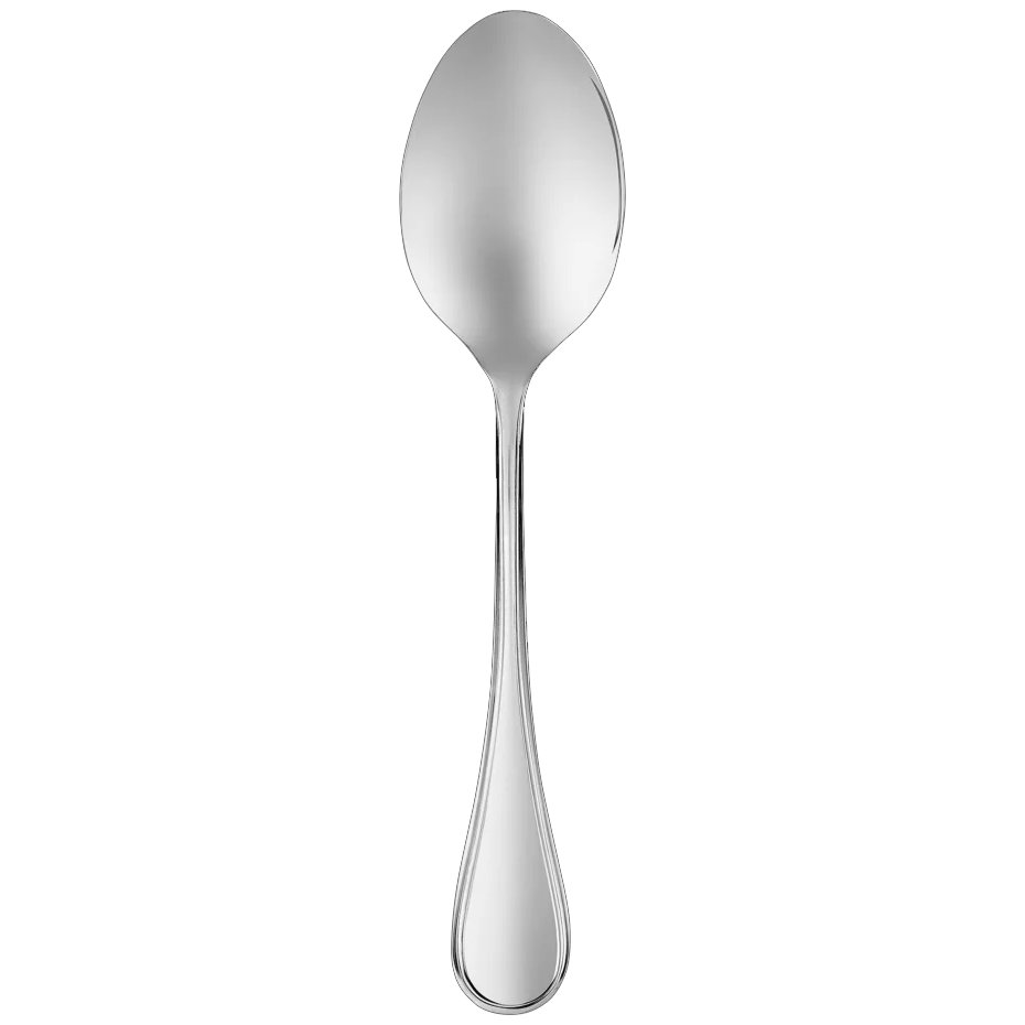 Albi Acier Staineless Steel Serving Spoon