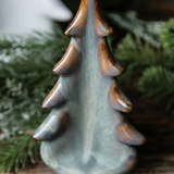 Pottery Evergreen in Moss Glen with Gift Box