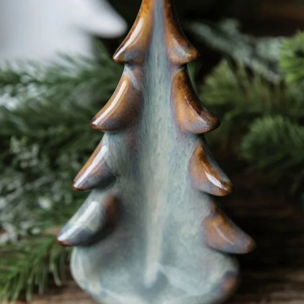 Pottery Evergreen Tree in Moss Glen with Gift Box