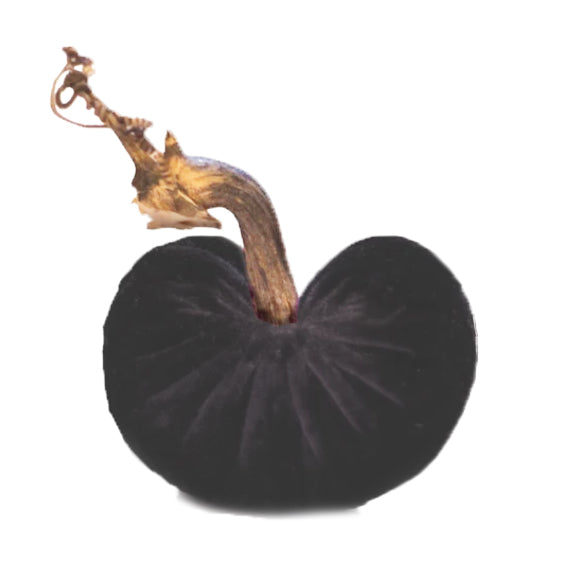 Plush Pumpkin Velvet Black Mink Heart