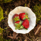 Berry & Thread Berry Bowl - Whitewash