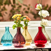 5 bud vases in different colors (blue, purple, orange, red, and white) with flowers showcasing how the vases refract the light