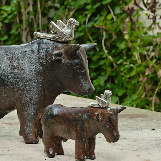 Torito con Paloma