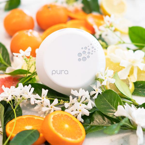 Pura Smart Home Fragrance Diffuser