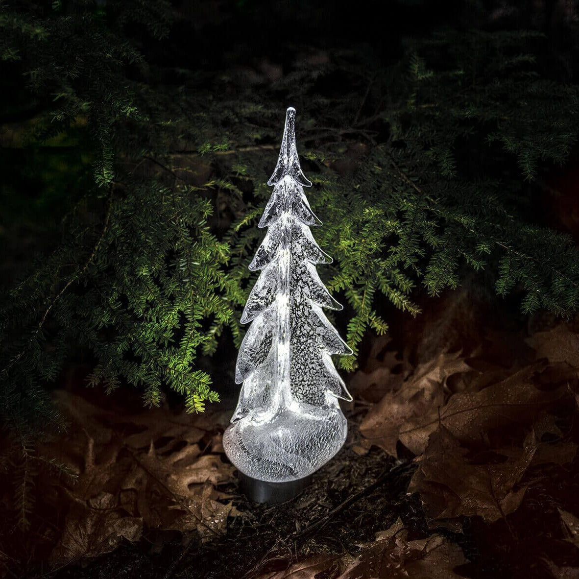 Silver Leaf Evergreen in Gift Box